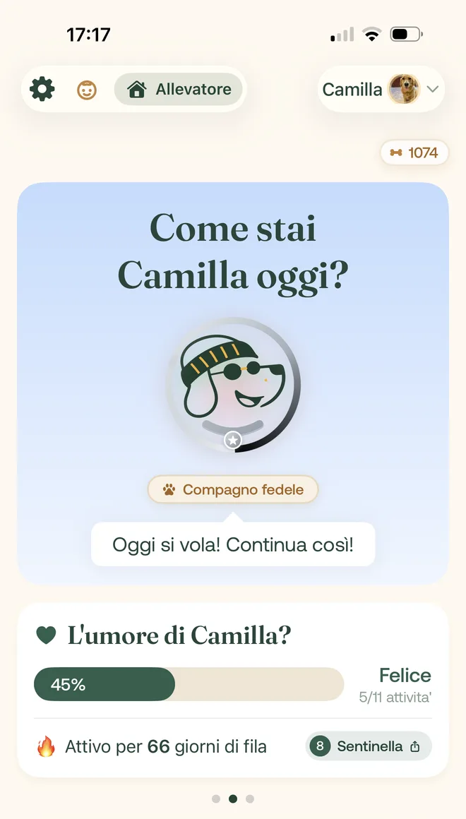 La home di Canely: il cane con cornice e collare, il saldo in Ossi, l'umore e la striscia di giorni