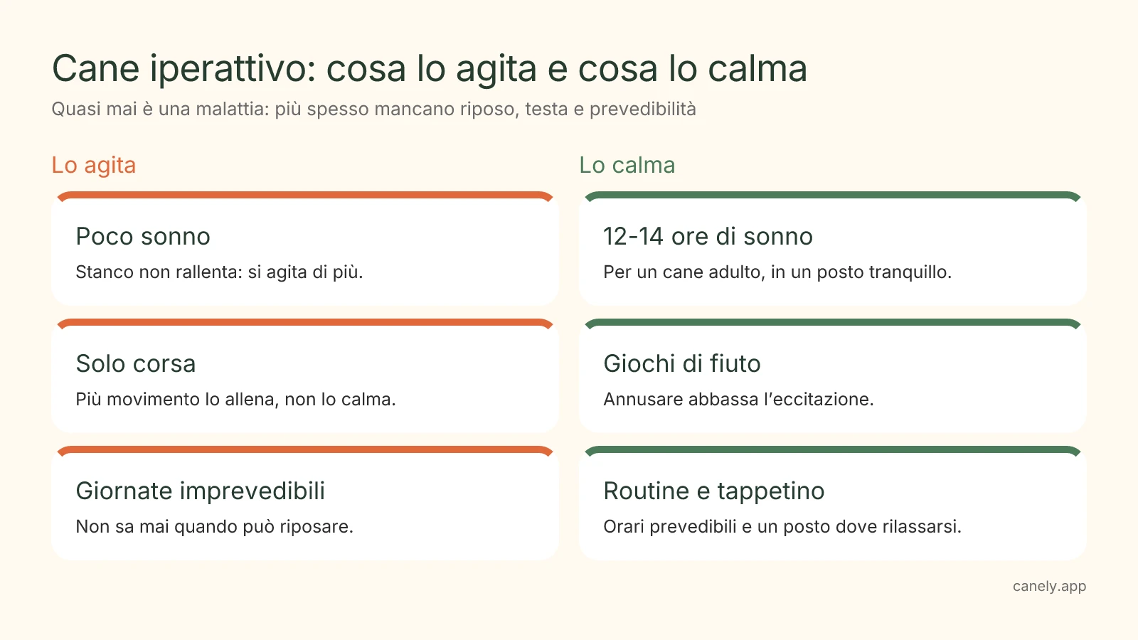 Infografica: cosa rende un cane iperattivo e cosa lo aiuta a calmarsi