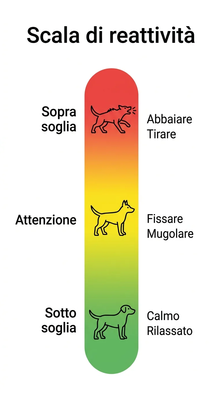 Infografica soglia di reattività del cane: segnali e livelli di eccitazione
