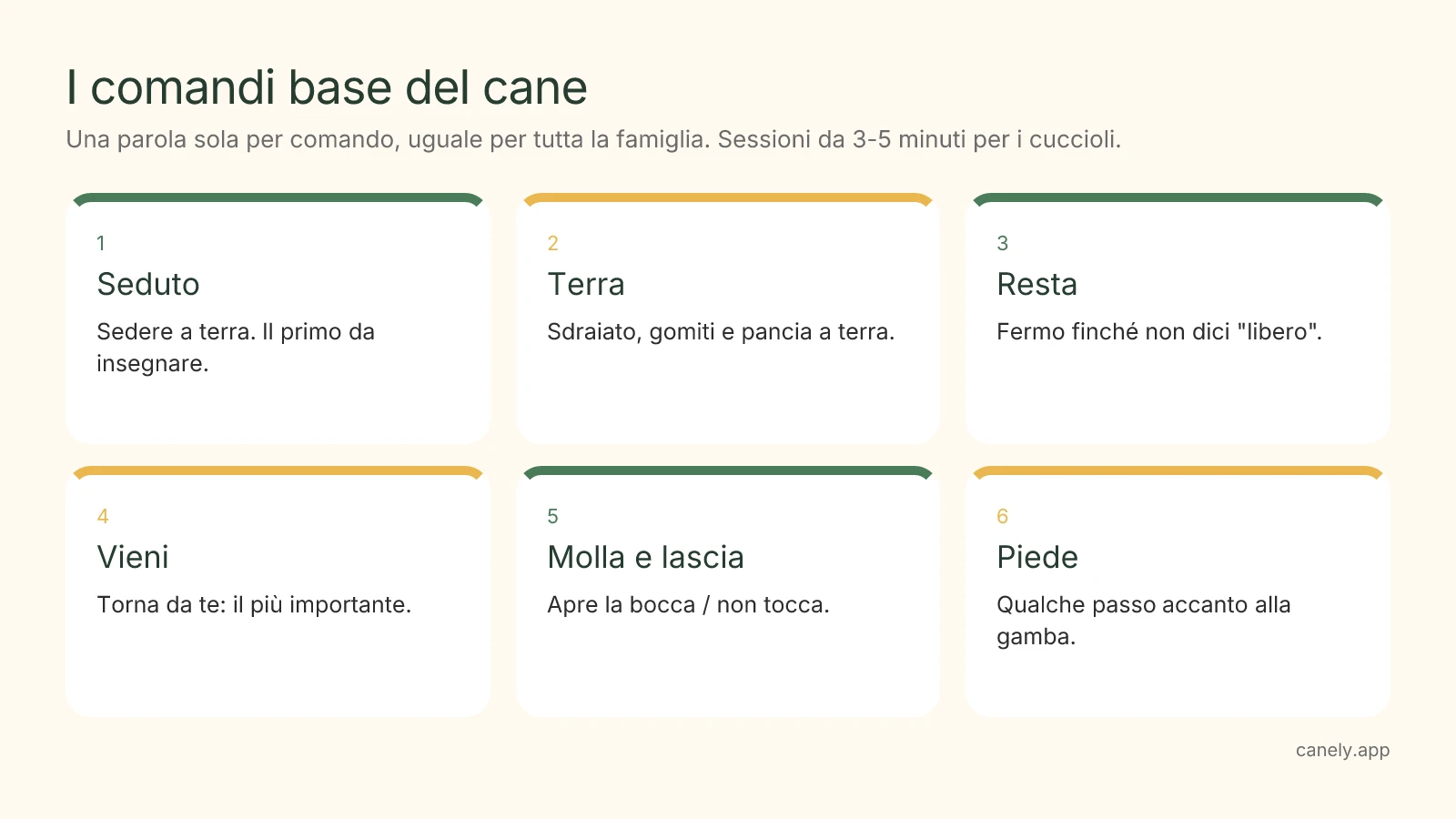 Infografica: i sei comandi base del cane con i gesti della mano