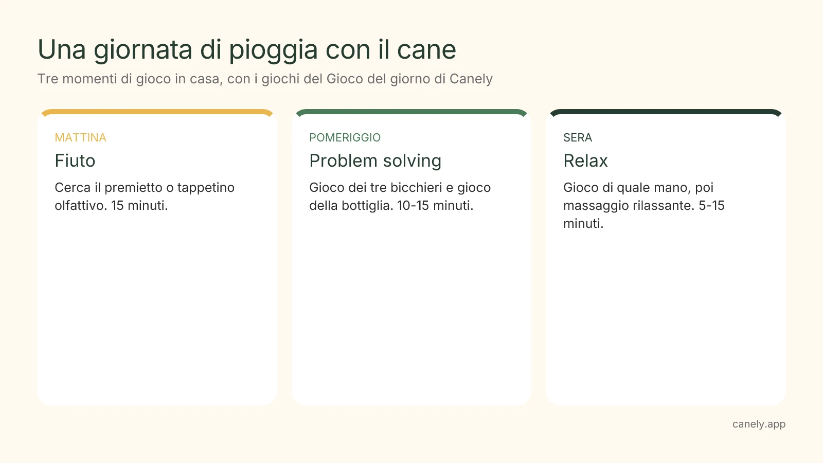 Infografica: giornata di pioggia con giochi di fiuto, problem solving e relax