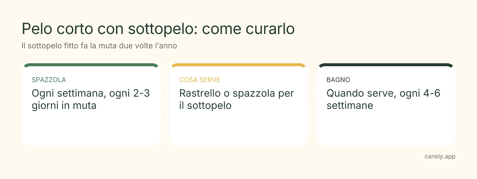 Infografica: come spazzolare un cane a pelo corto con sottopelo