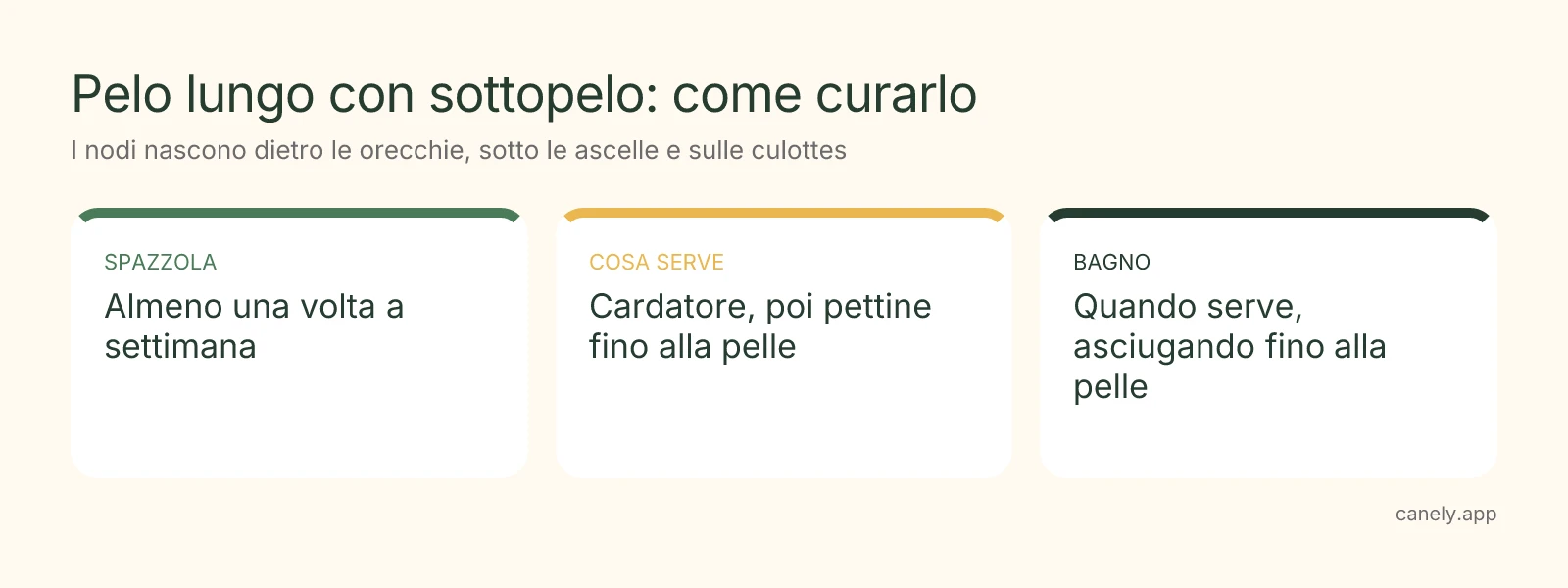 Infografica: come spazzolare un cane a pelo lungo con sottopelo
