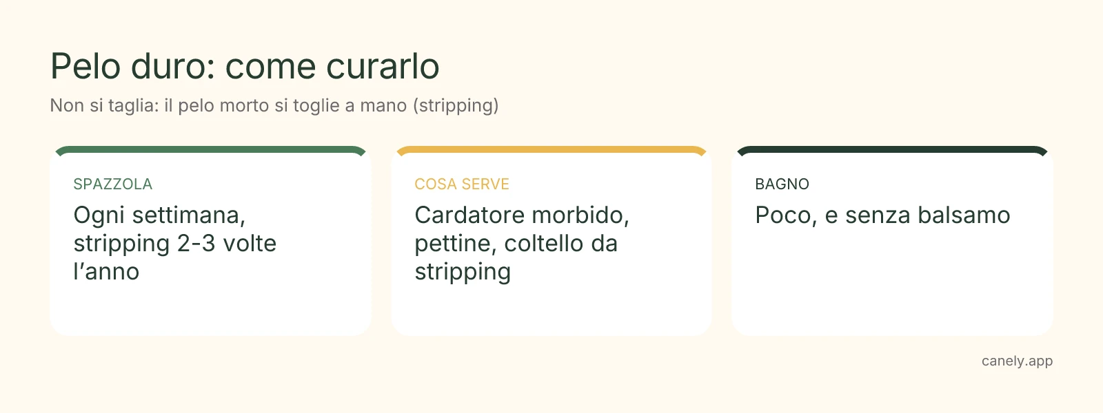 Infografica: come spazzolare un cane a pelo duro