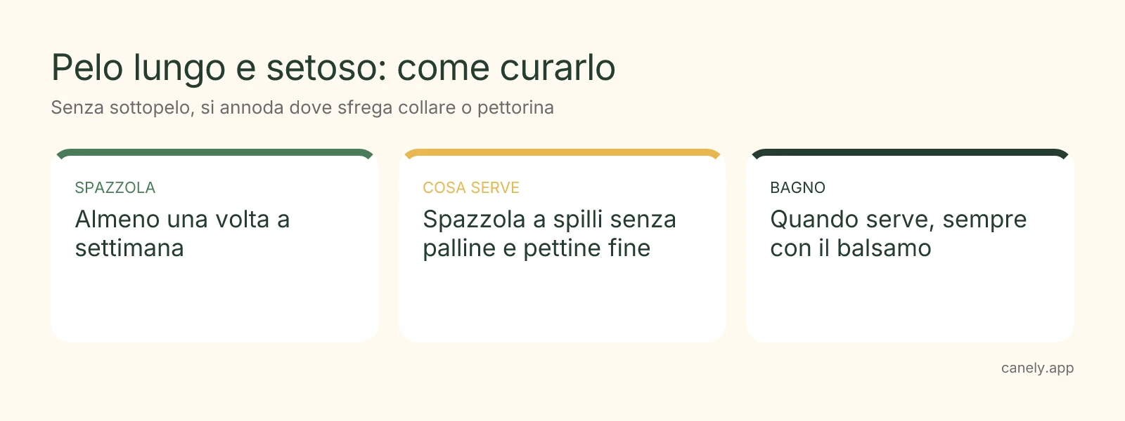 Infografica: come spazzolare un cane a pelo lungo e setoso