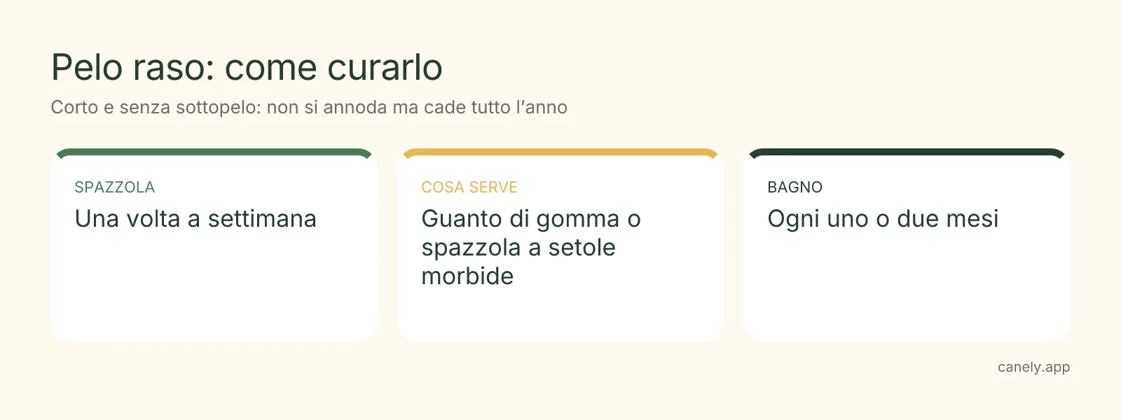 Infografica: come spazzolare un cane a pelo raso