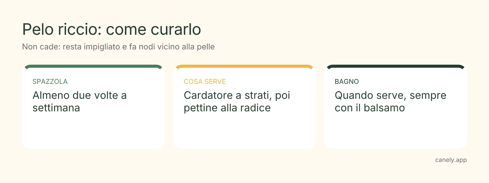 Infografica: come spazzolare un cane a pelo riccio
