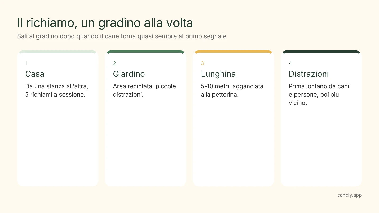 Infografica: le quattro tappe per insegnare il richiamo, dalla casa al parco